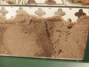 Screen Shot 2020 08 03 at 14.29.49